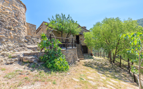 Front garden / terrace